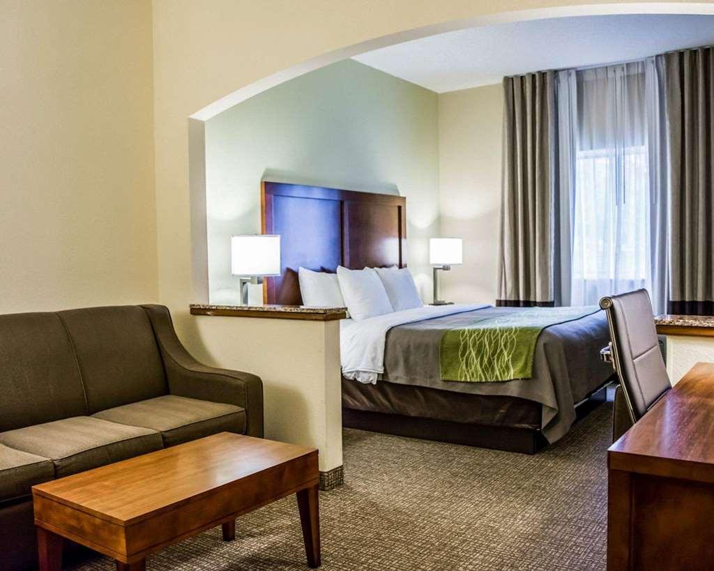 Comfort Inn Fort Myers Northeast Phòng bức ảnh