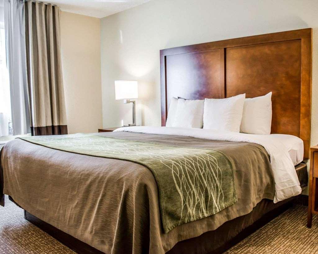 Comfort Inn Fort Myers Northeast Phòng bức ảnh