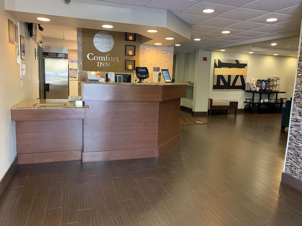 Comfort Inn Fort Myers Northeast Ngoại thất bức ảnh